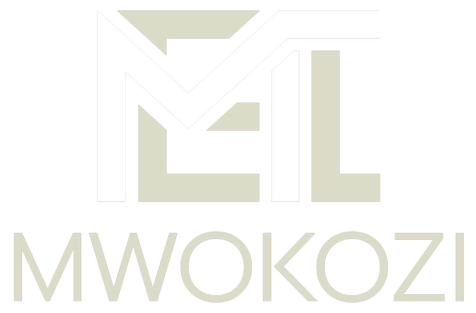 Mwokozi Enterprise Tanzania Limited